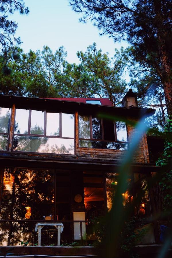 Kayserkaya Cottages Селчук Екстериор снимка