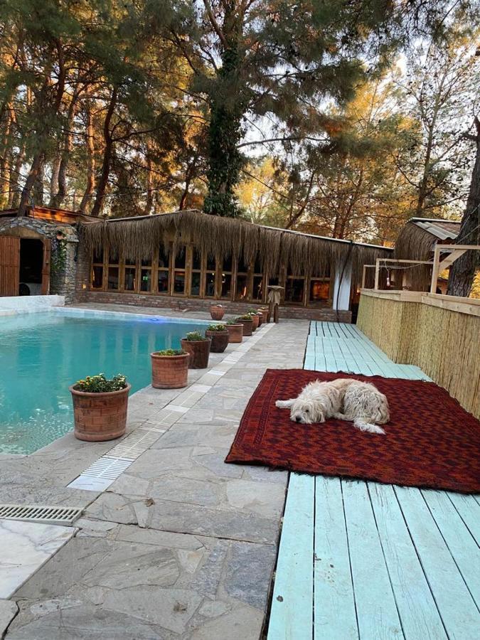 Kayserkaya Cottages Селчук Екстериор снимка